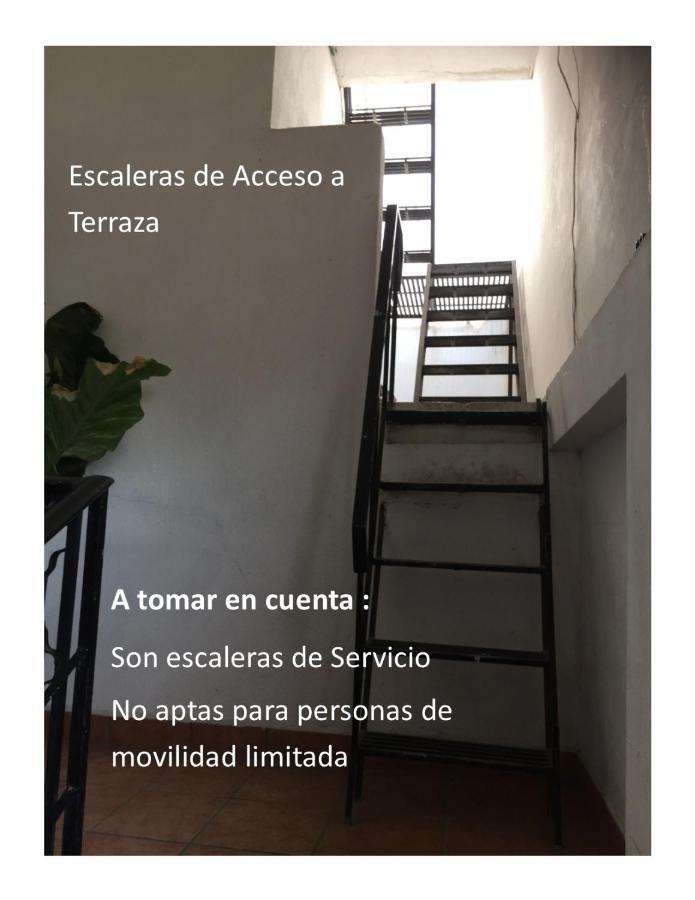 Ferienwohnung Mi Depa Gardenia En Pleno Centro De La Ciudad Ciudad Valles Exterior foto